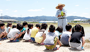 田植え・稲刈り