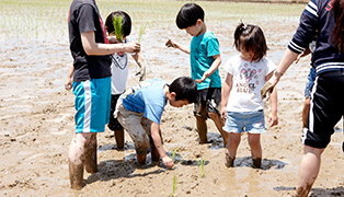 田植え・稲刈り