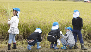 田植え・稲刈り